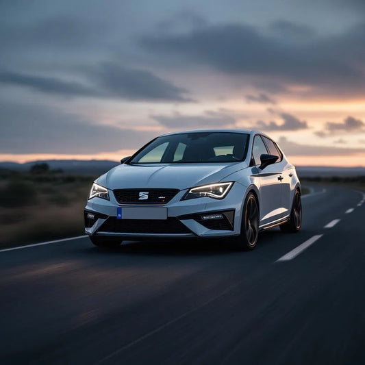 Seat Leon garée sur une route