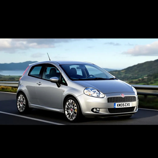 Fiat Punto Evo Diesel 1.3 MultiJet vue extérieure