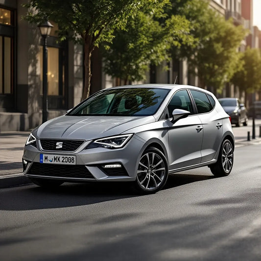 Seat Ibiza IV Essence 1.4 MPI vue extérieure moderne